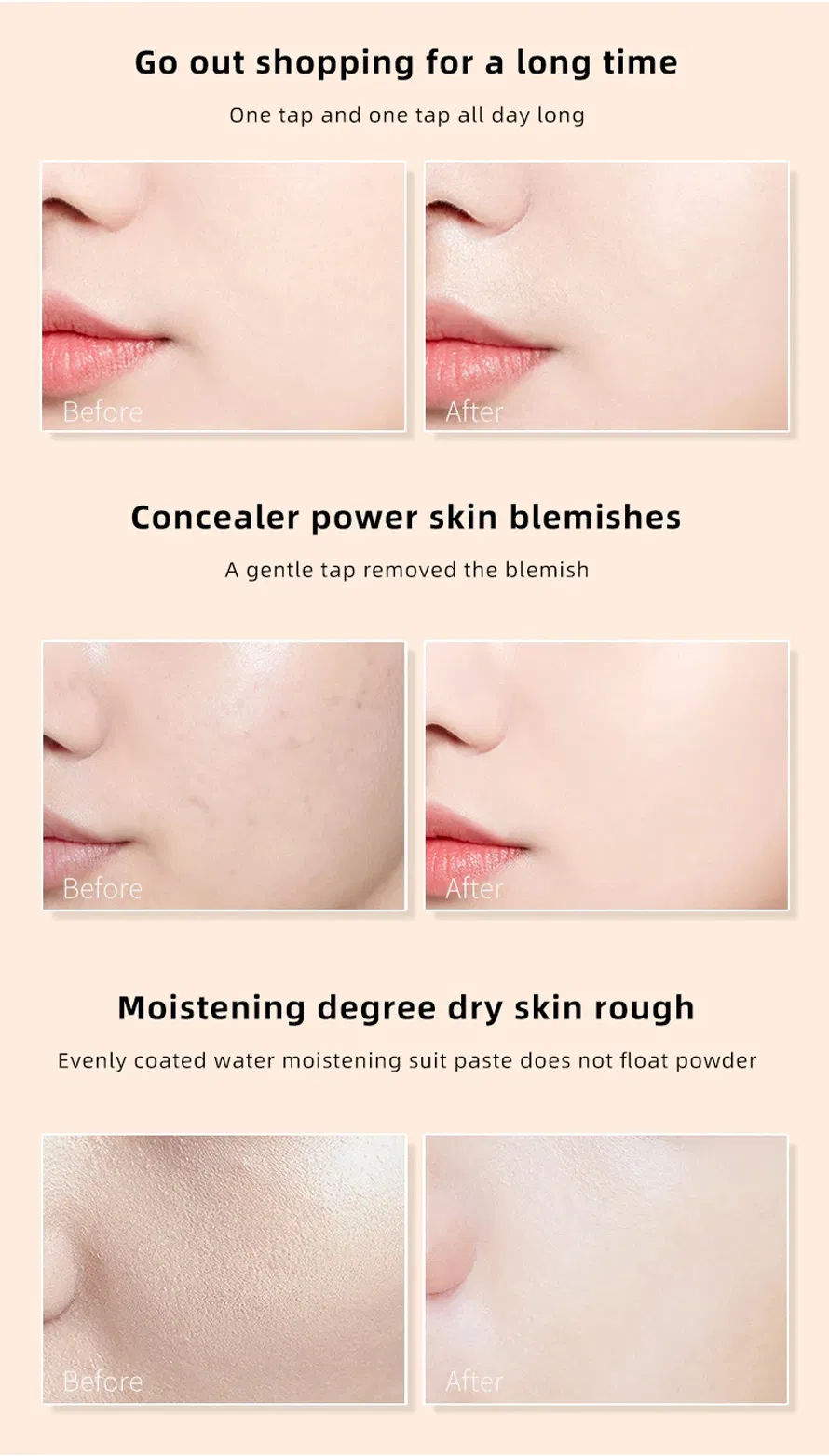 Best Quality Bb Cc Moist Air Cushion Waterproof Makeup Foundation Cream with SPF Foundation