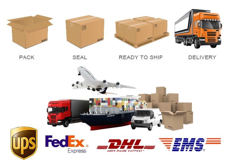 Packaging Logistics