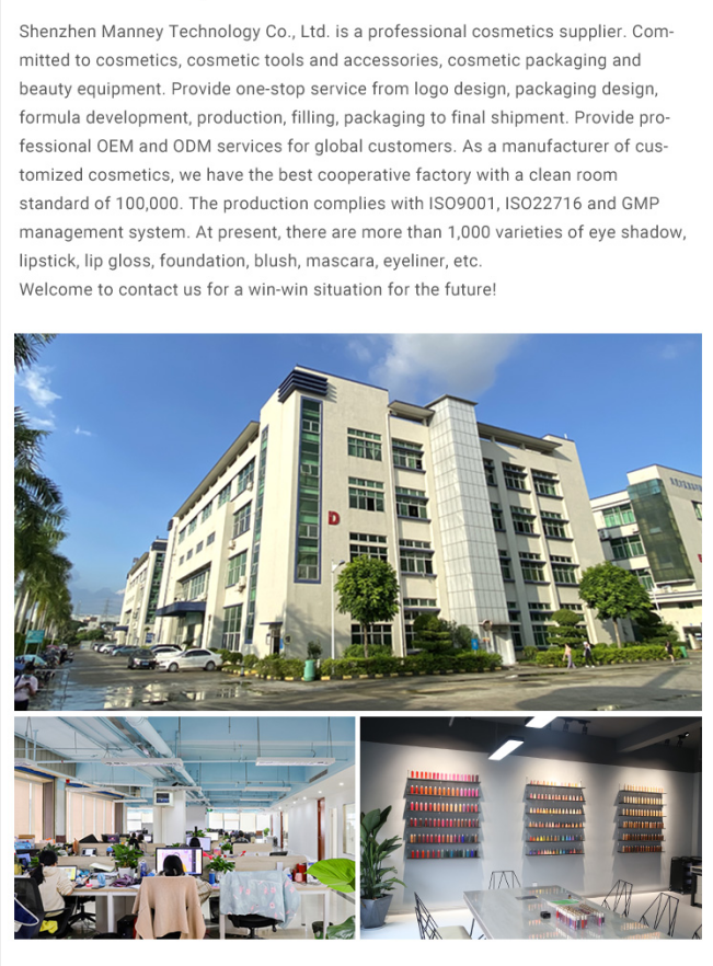 Company Introduction Overview