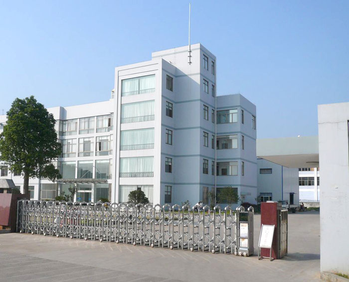 Company overview