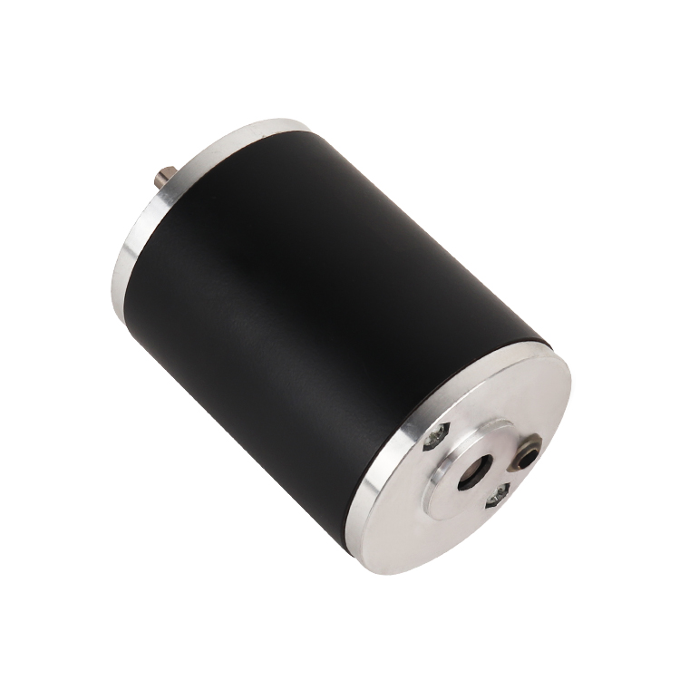 L5871 China Supplier High Torque 12V 2700RPM 16.02W Brushed DC Motor for Smart Home Fan Agriculture Appliances
