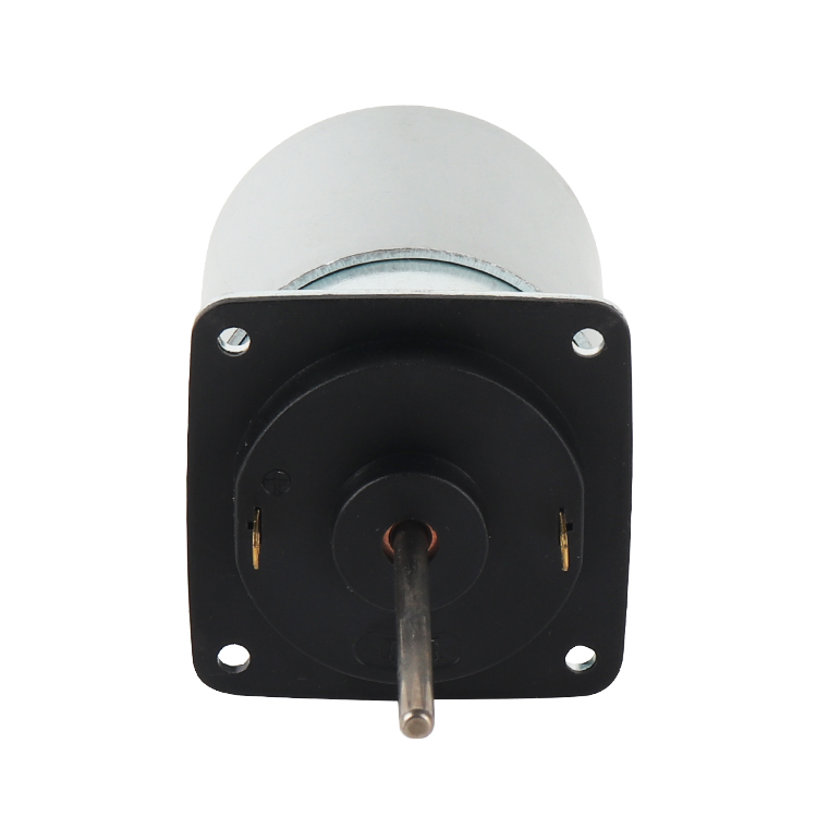 RS655DZ Customized 29V 4005RPM 12.49W Permanent Magnet Micro Brushed DC Motor for Boat Fan Putter and Automatic Curtain Motor