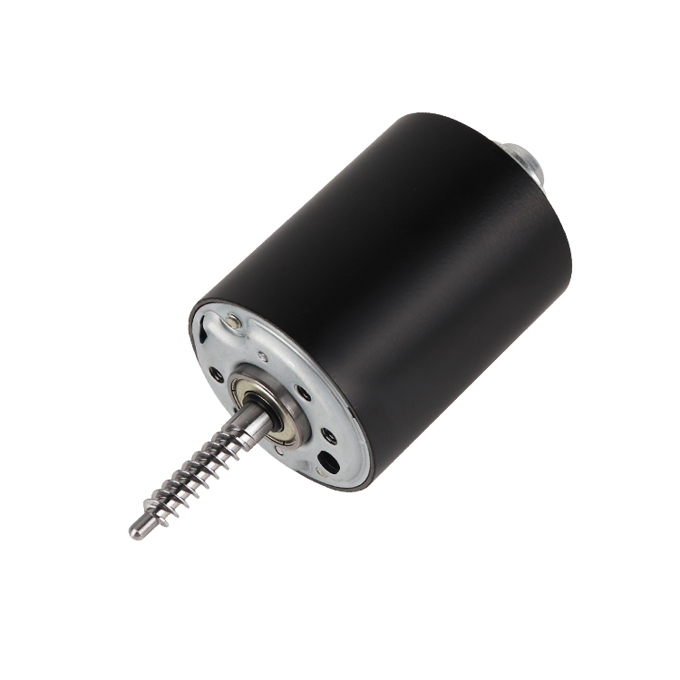 L5570 High Torque Permanent Magnet 24V 3450RPM 26.4W Brushed DC Motor for Home Appliance Boat & Fan Vibrating Motor