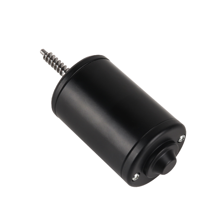 L5280T Professional Customized Permanent Magnet High Torque 24V 3000RPM 21.8W Brushed DC Motor Smart Home Home Appliance Boat