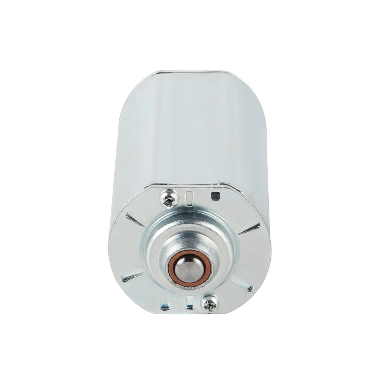 LF4580 Permanent Magnet Multifunctional 6.2V 4020RPM 18.89W High Torque Brushed DC Motor for Home Appliance Fan Smart Home Boat