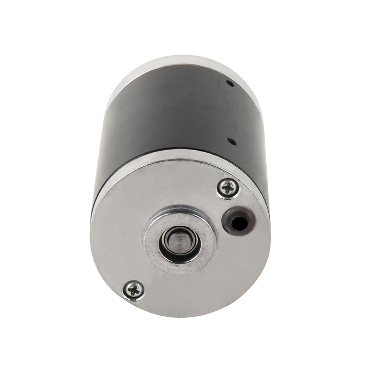 L6290 Permanent Magnet High Torque 24V 2820RPM 30.73W Brushed DC Motor for Forestry Appliances Boat Fan & Smart Home Use