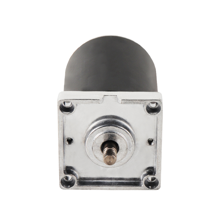 L5996 Customized High Torque 18V 2960RPM 28.93W Brushed DC Permanent Magnet Motor Home Appliance Boat Smart Home Fan