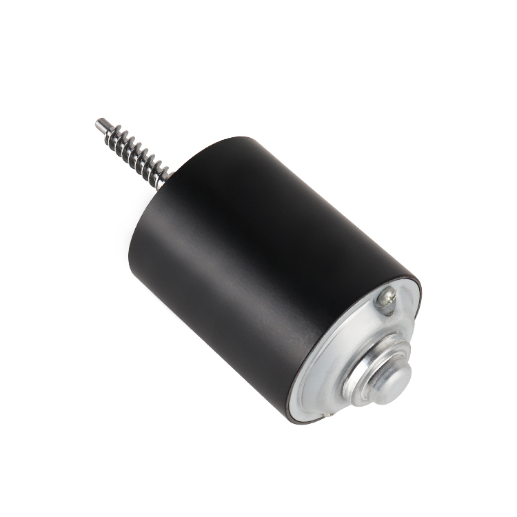 L5570 High Torque Permanent Magnet 24V 3450RPM 26.4W Brushed DC Motor for Home Appliance Boat & Fan Vibrating Motor