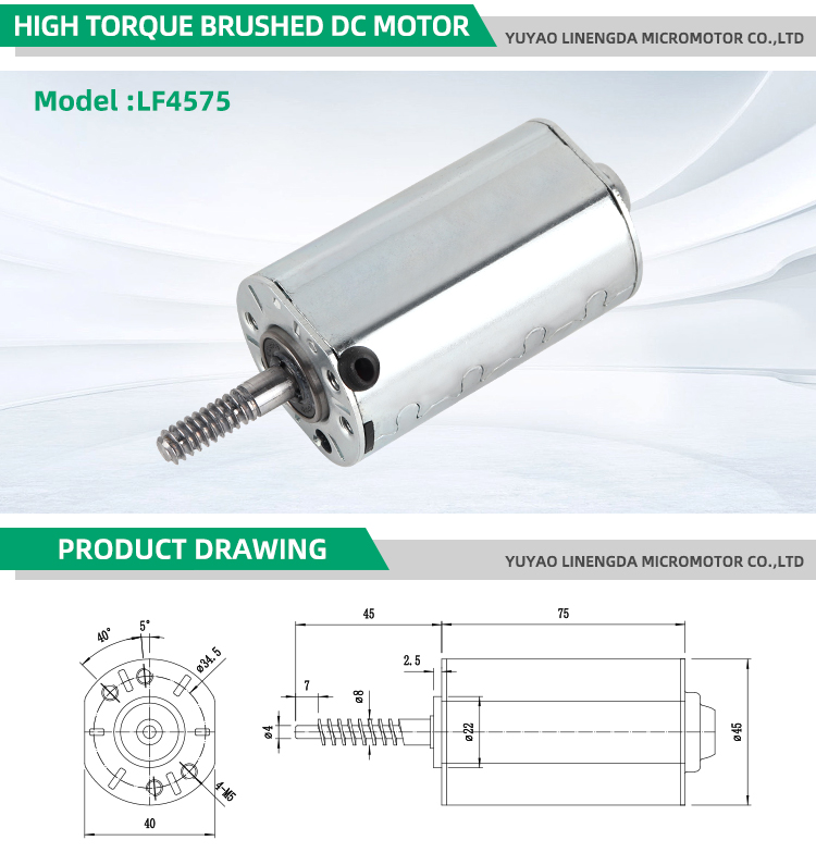 Motor Detail 1