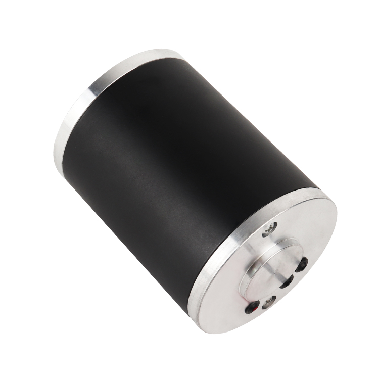 L83110 Customized High Torque 55V 4570RPM 107.94W Brushed DC Motor for Smart Home Fan Boat Energy Appliances