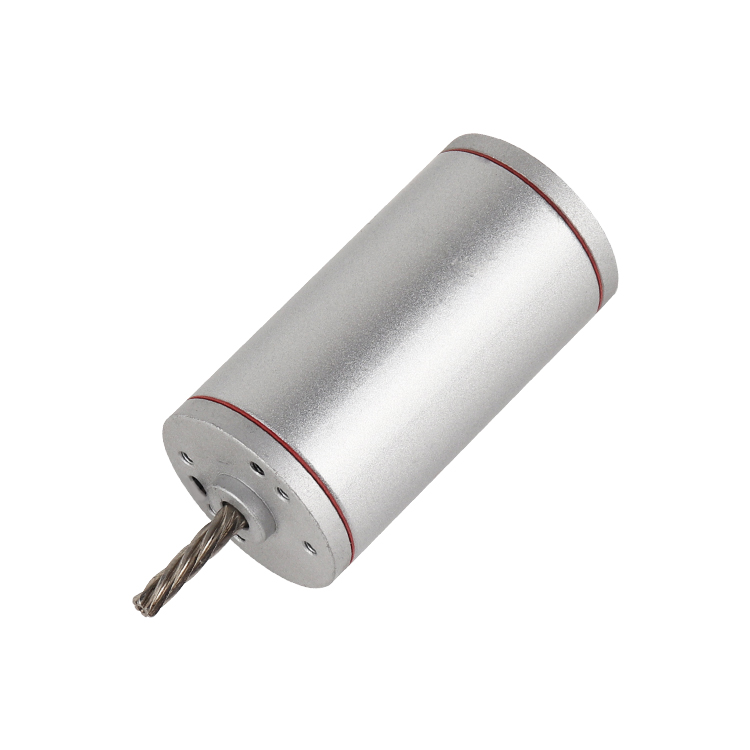 L3873 High Torque Permanent Magnet 30V 5830RPM 32.47W Brushed DC Motor for Boat Fan Smart Home Appliance Motorized Curtain