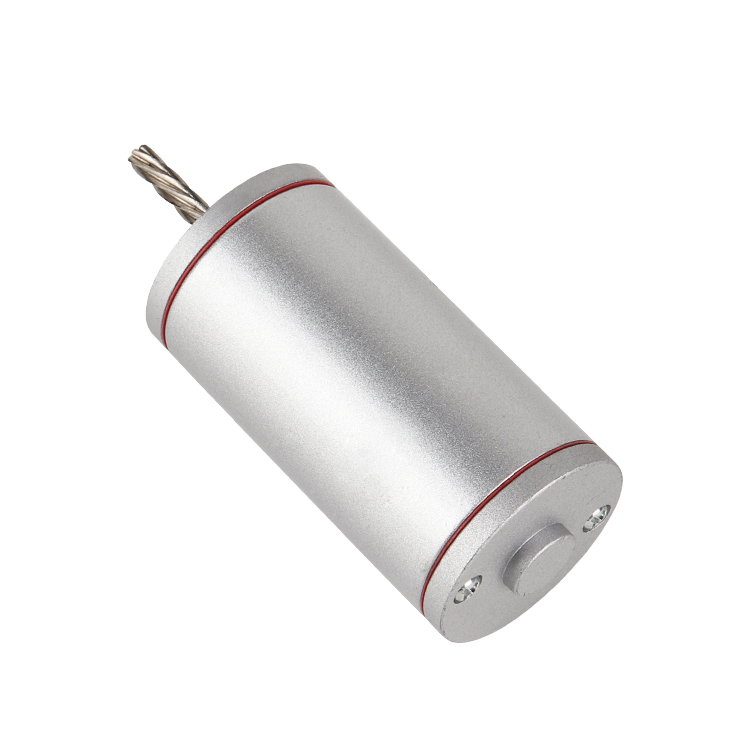 L3873 DC 30V Permanent Magnet Brush Motor High Quality in Stock for Boat Smart Home Fan Home Appliance Use