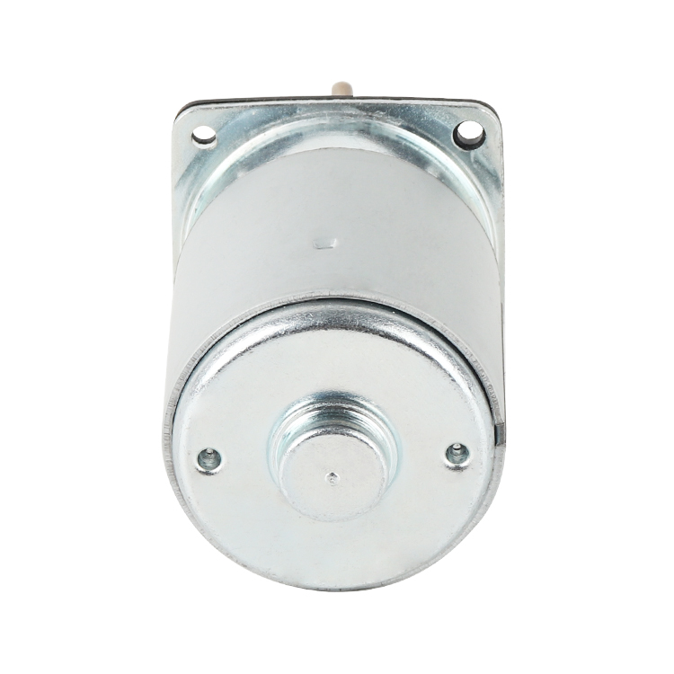 RS655DZ Customized 29V 4005RPM 12.49W Permanent Magnet Micro Brushed DC Motor for Boat Fan Putter and Automatic Curtain Motor