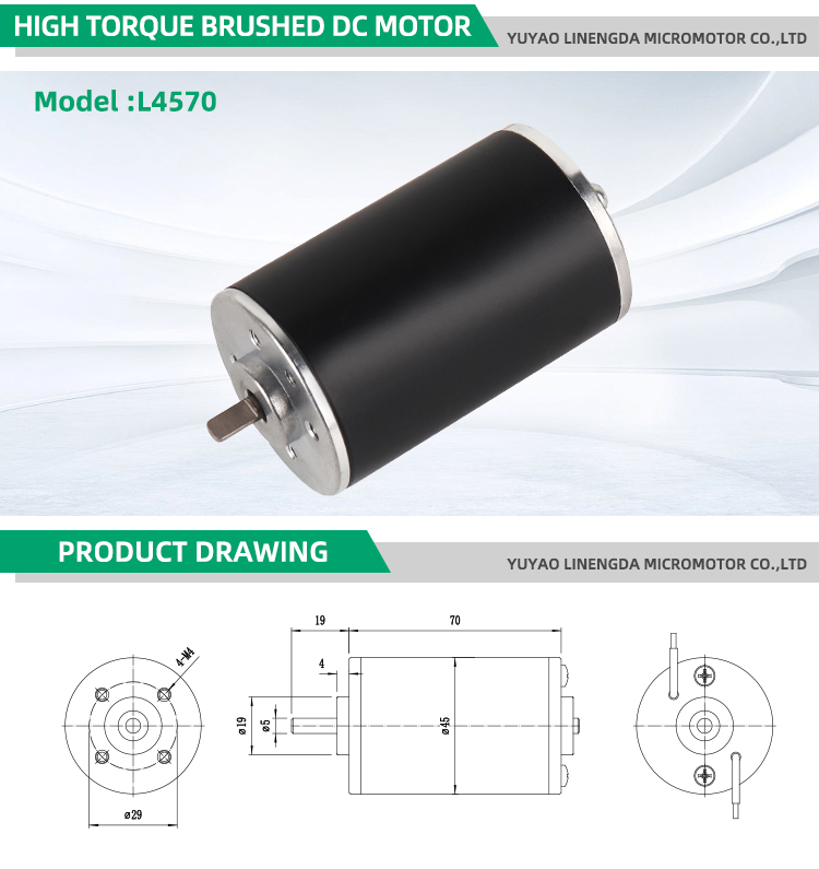 Motor Details 2