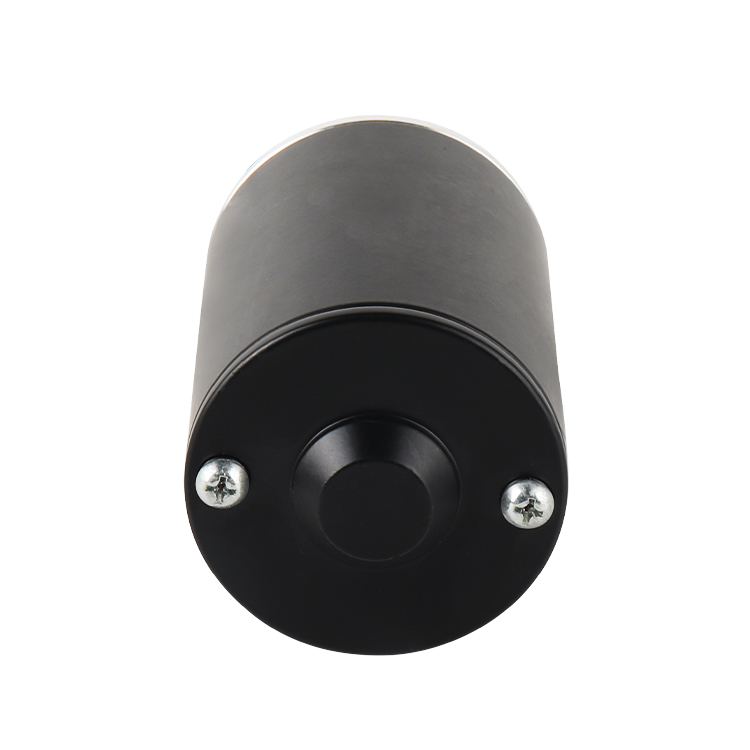 L6492 Customized High Torque 24V 3000RPM 36.43W Brushed DC Permanent Magnet Motor for Medical Home Appliances Boat & Fan