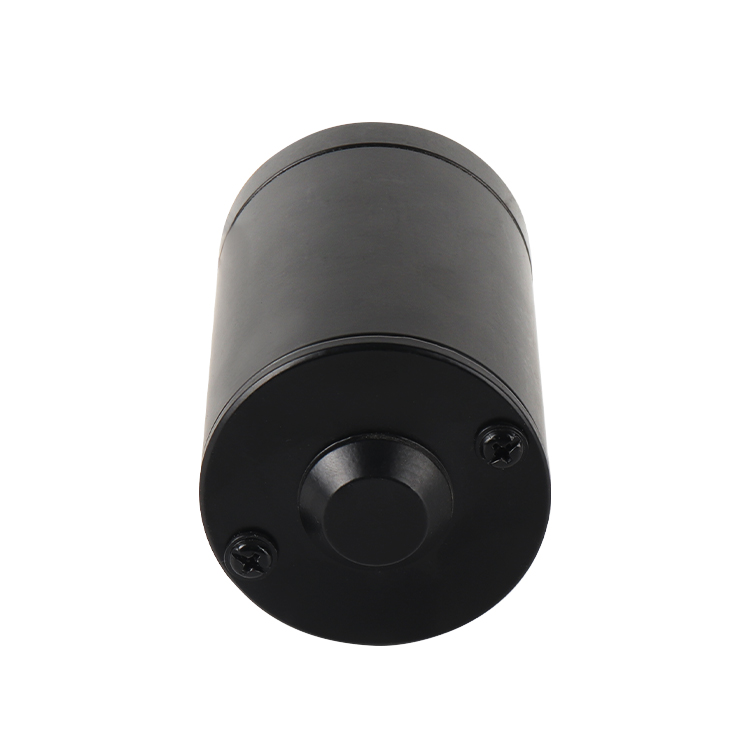 L6495 New Arrivals High Torque 24V 2500RPM 23.84W Brushed DC Permanent Magnet Motor 62mm for Boat Automotive Home Appliances Fan