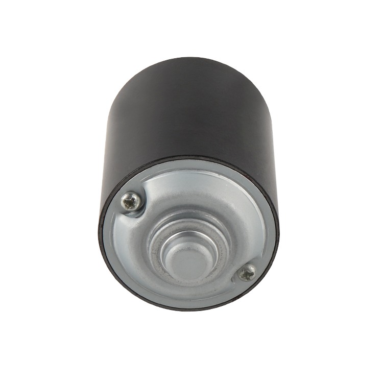 L5570 High Torque Permanent Magnet 24V 3450RPM 26.4W Brushed DC Motor for Home Appliance Boat & Fan Vibrating Motor