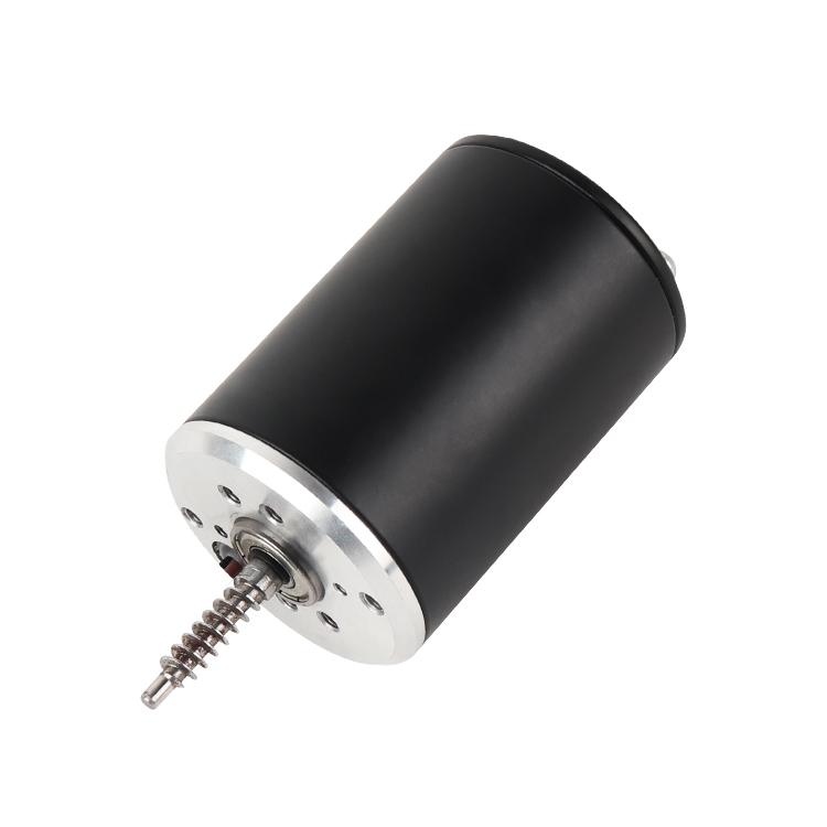 L6492 Customized High Torque 24V 3000RPM 36.43W Brushed DC Permanent Magnet Motor for Medical Home Appliances Boat & Fan