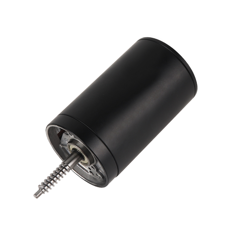 L64100 Customized High Torque 12V 4260RPM 86.9W Brushed DC Permanent Magnet Motor 64mm Boat Fan Smart Home Appliance Gear Motor