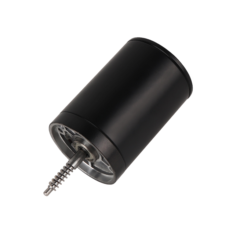 L6495 New Arrivals High Torque 24V 2500RPM 23.84W Brushed DC Permanent Magnet Motor 62mm for Boat Automotive Home Appliances Fan