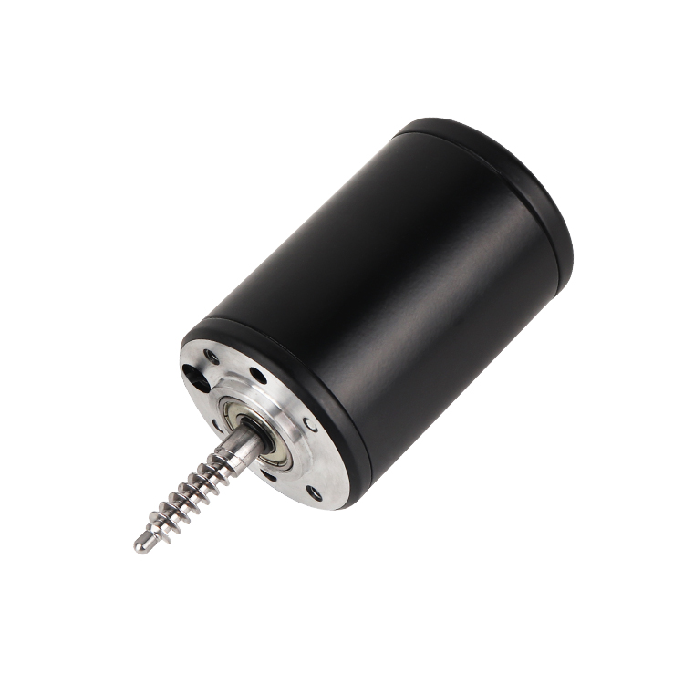 L5280T Professional Customized Permanent Magnet High Torque 24V 3000RPM 21.8W Brushed DC Motor Smart Home Home Appliance Boat