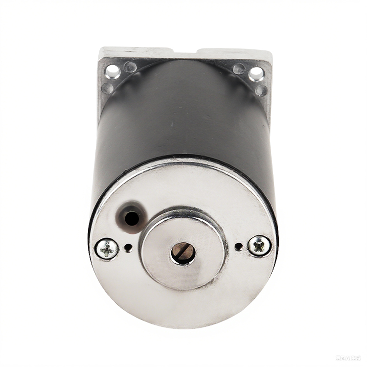 L5996 Customized High Torque 18V 2960RPM 28.93W Brushed DC Permanent Magnet Motor Home Appliance Boat Smart Home Fan
