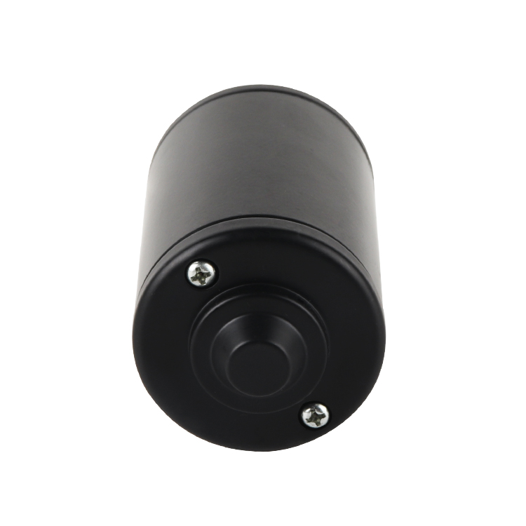 L5280T Professional Customized Permanent Magnet High Torque 24V 3000RPM 21.8W Brushed DC Motor Smart Home Home Appliance Boat