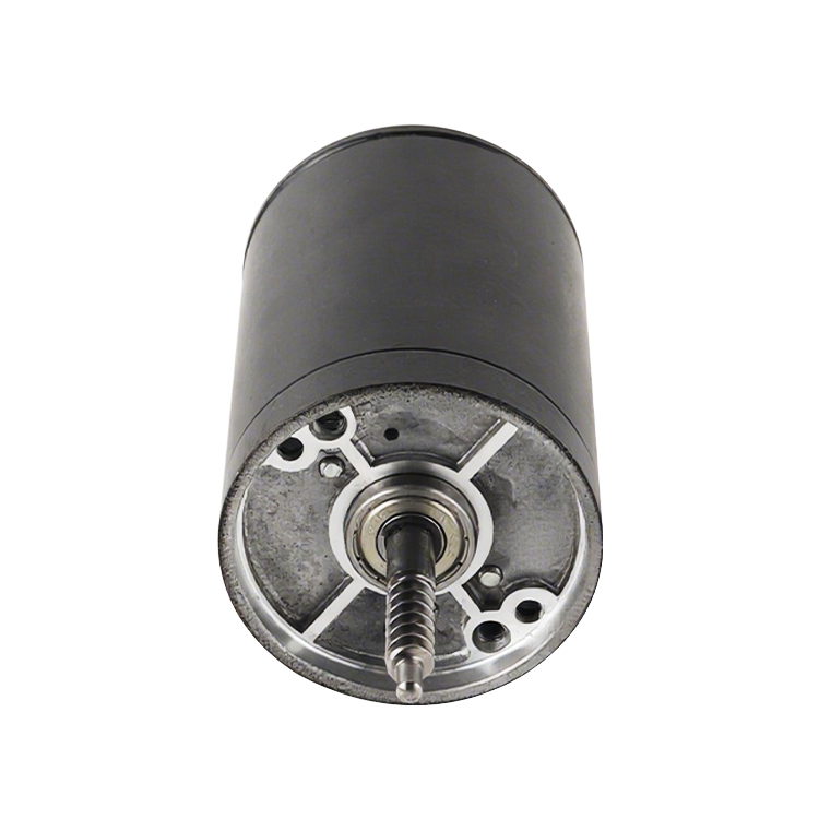L6495 New Arrivals High Torque 24V 2500RPM 23.84W Brushed DC Permanent Magnet Motor 62mm for Boat Automotive Home Appliances Fan
