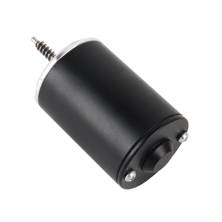 L6492 Customized High Torque 24V 3000RPM 36.43W Brushed DC Permanent Magnet Motor for Medical Home Appliances Boat & Fan