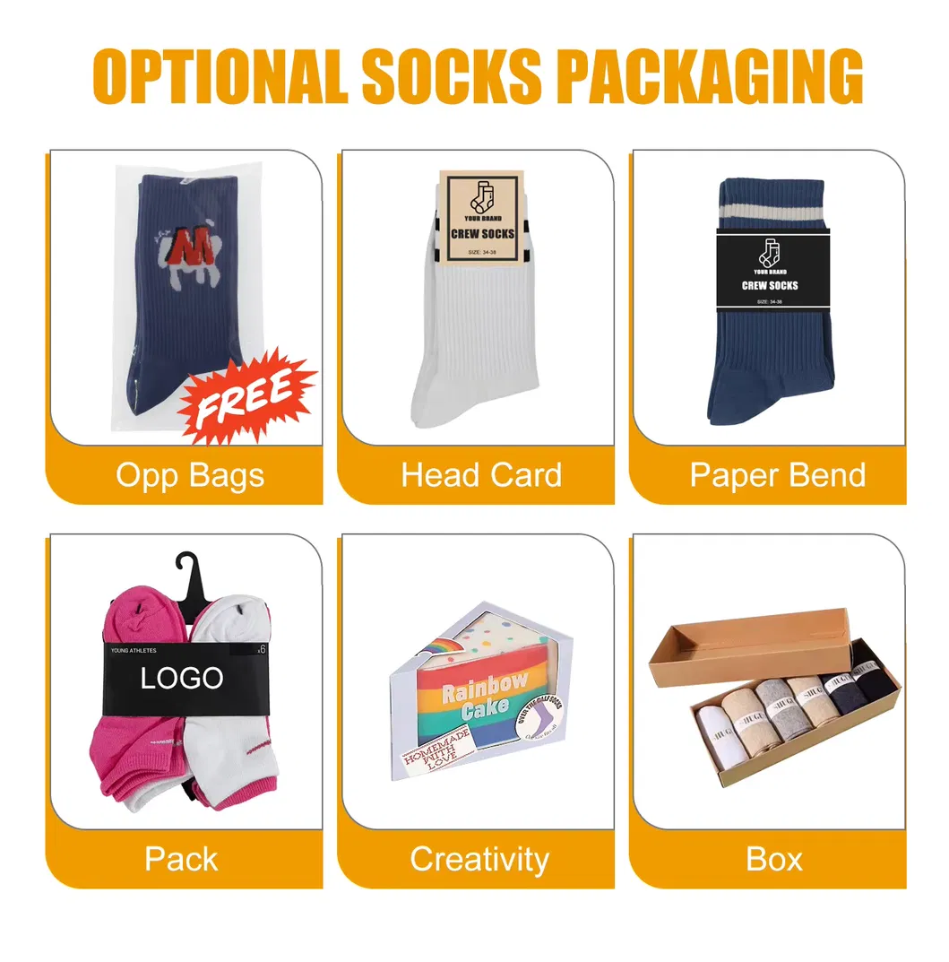 Main Product Showcase