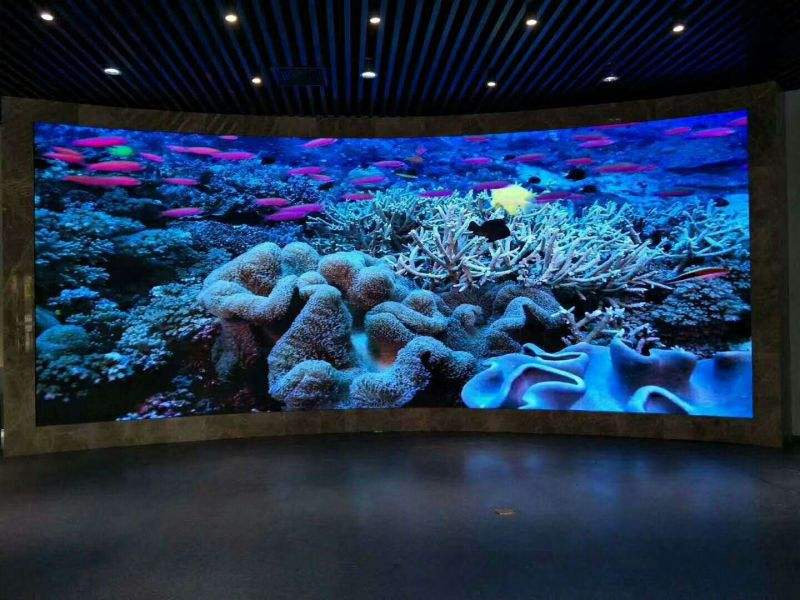 Versatile Text Shopping Guide with Eco-Friendly Carton Packaging