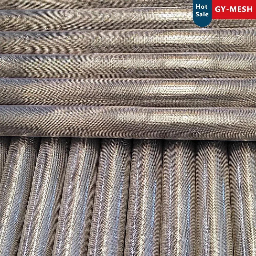 Stainless Steel Mesh Galvanized Wire Mesh for Mosquito Window Screen Insect Wire Netting