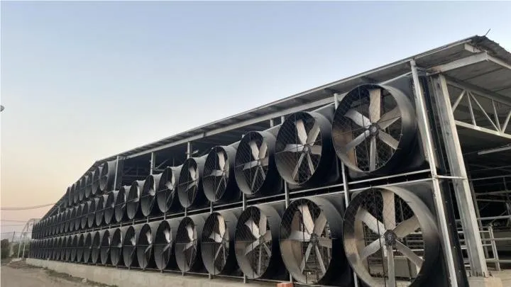 Industrial Fan Details