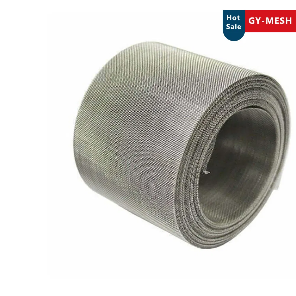 Stainless Steel Mesh Galvanized Wire Mesh for Mosquito Window Screen Insect Wire Netting