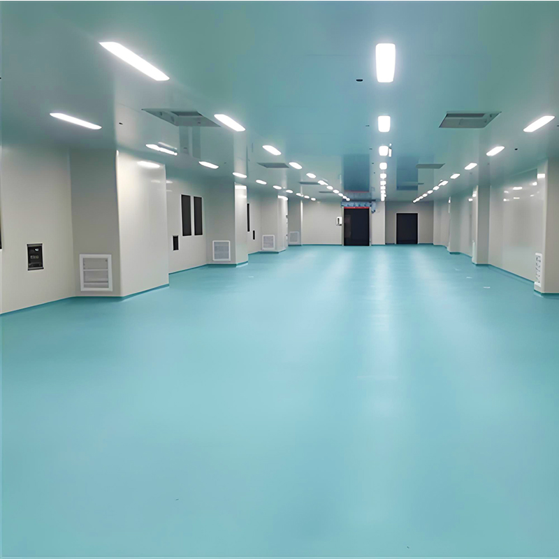 Dust-Proof Workshop 1 Year Air Purification System Laboratory Clean Room