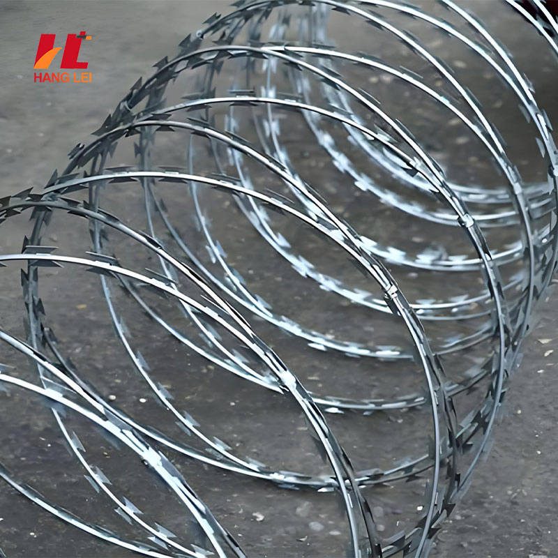 Economical Galvanized Barbed Wire Fencing for Cost Effective Perimeter Security and Property Demarcation