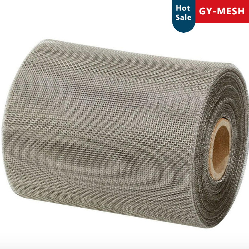 Stainless Steel Mesh Galvanized Wire Mesh for Mosquito Window Screen Insect Wire Netting