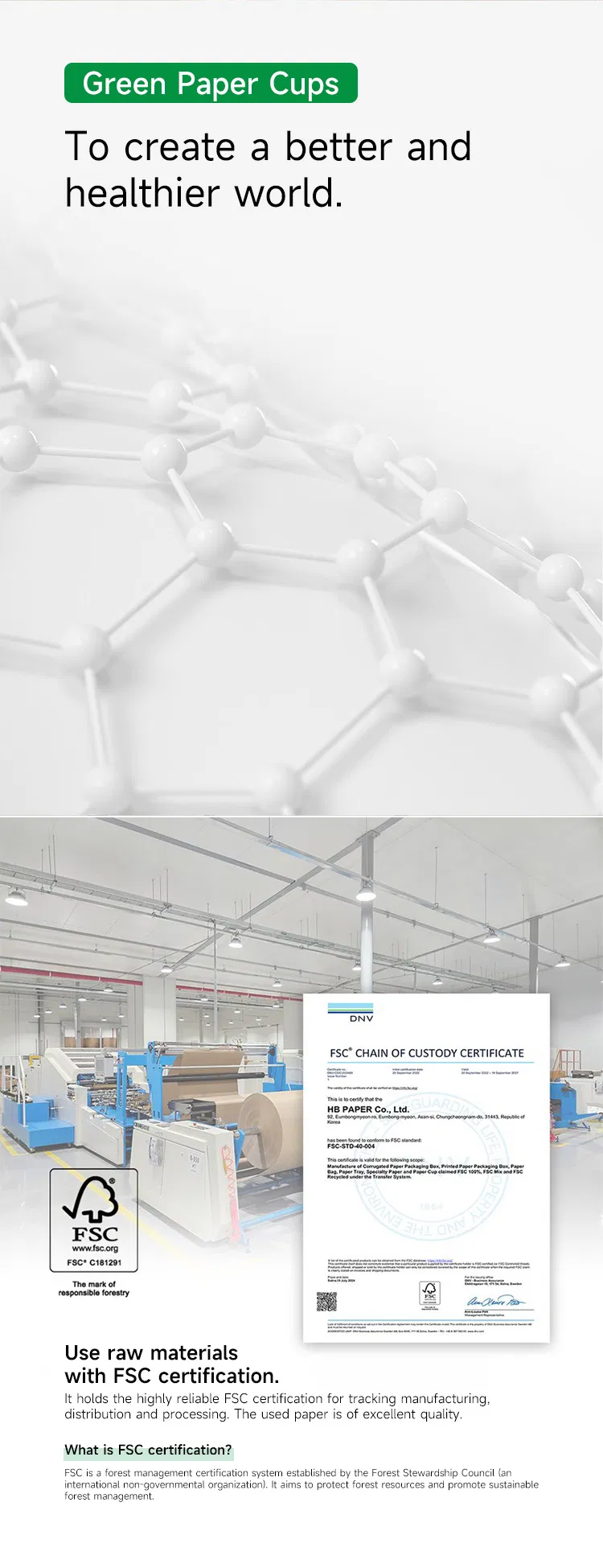 Eco-Friendly Green Paper Cup Detail