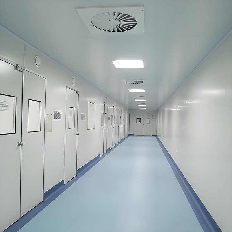 Dust-Proof Workshop 1 Year Air Purification System Laboratory Clean Room