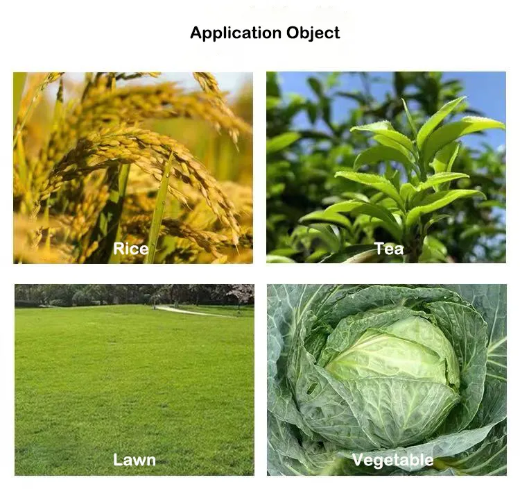 Cyhalodiamide Application 2