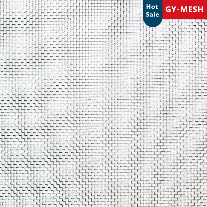 Stainless Steel Mesh Galvanized Wire Mesh for Mosquito Window Screen Insect Wire Netting