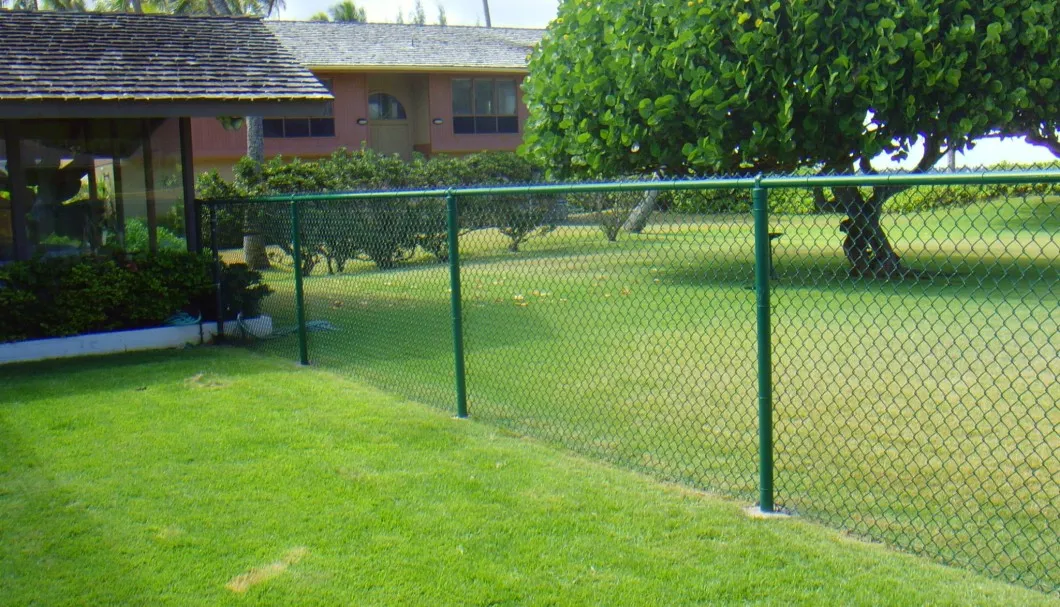 Black PVC Coated Chain Link Fence