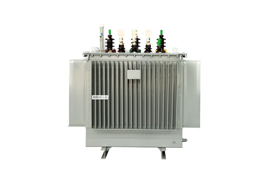 Oil-Immersed Power Transformer