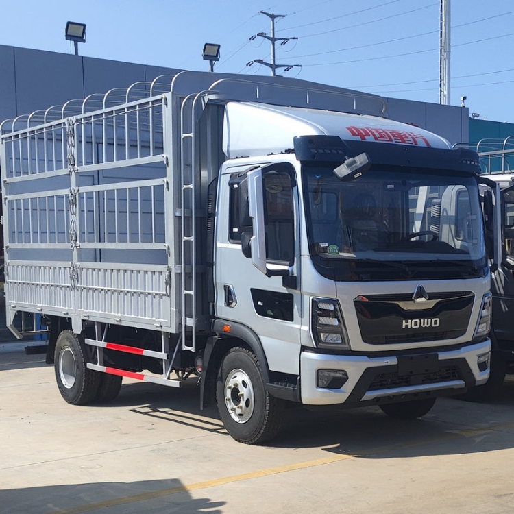 Sinotruk HOWO Light Truck 4X2 Diesel-Powered City Delivery Cost-Effective Durable Commercial Transport Vehicle Single/Double/Crew Cab Affordable Competitive
