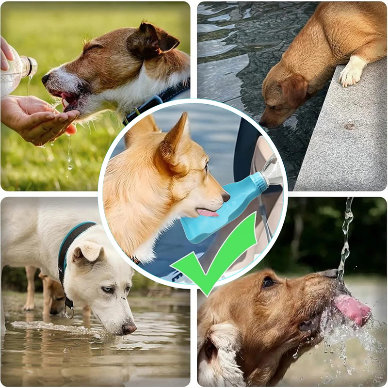 Internationally Renowned Customized Drinking Water for Pets