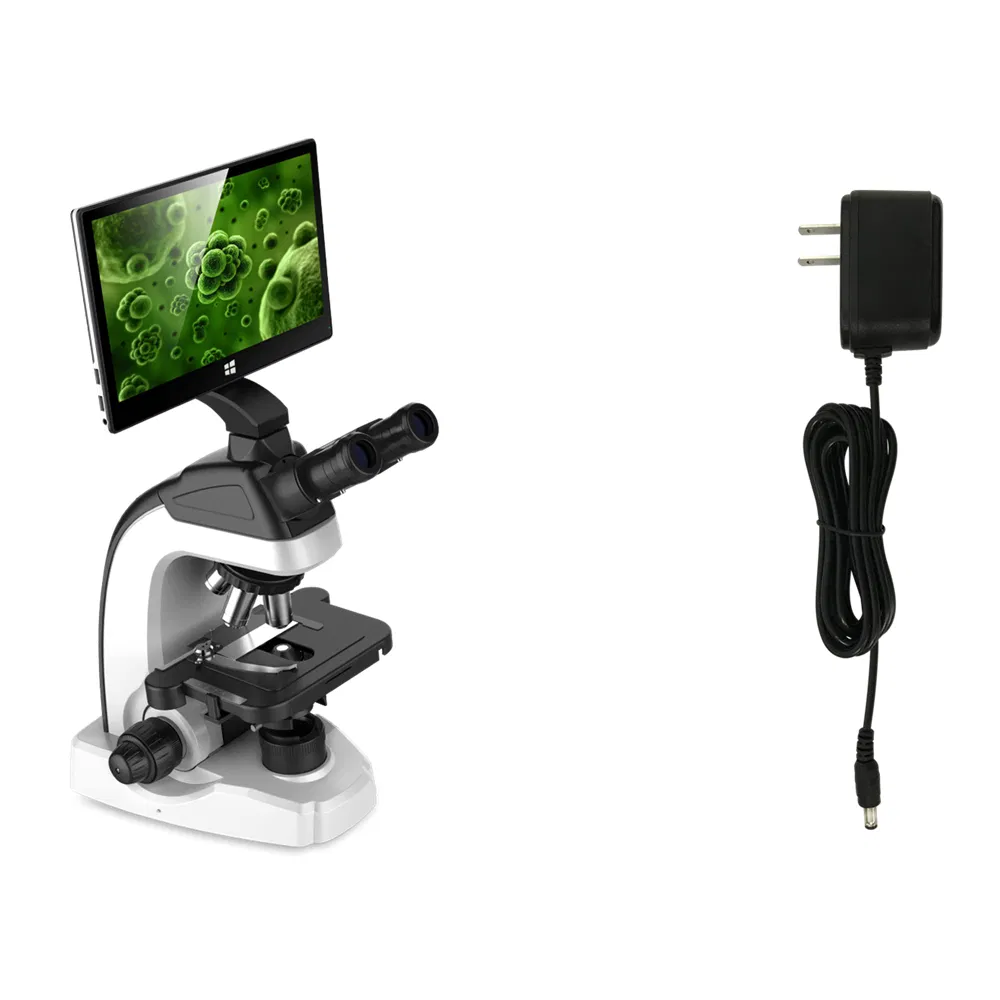 Integrated Display Camera View 2