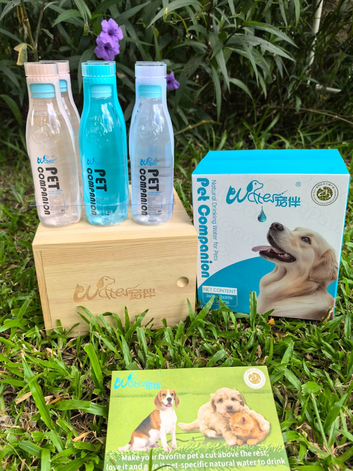 Pet-Specific Drinking Water, Rich in Mineral Elements Such as Calcium, Magnesium, Sodium, Potassium, Strontium and Metasilicic Acid. It Is Helpful for The Intes