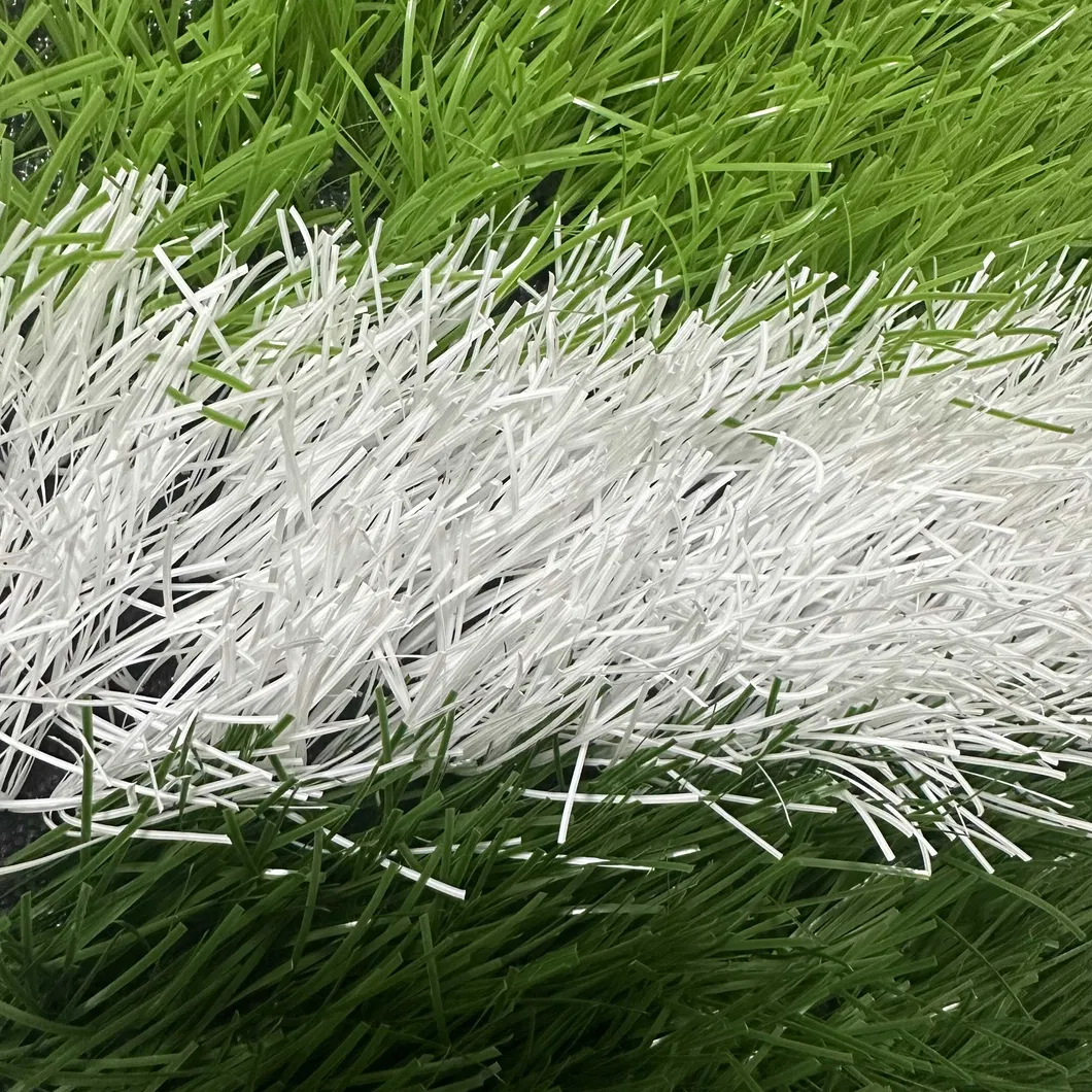 Grass Detail 1