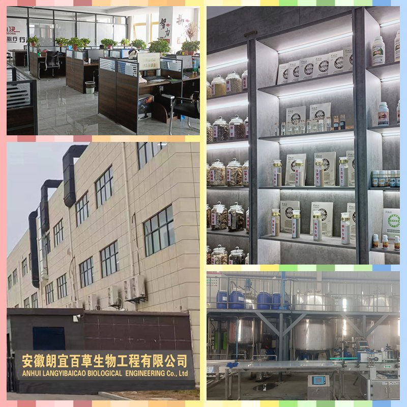 Biological Insecticide Extracted From Plants for Small Insects