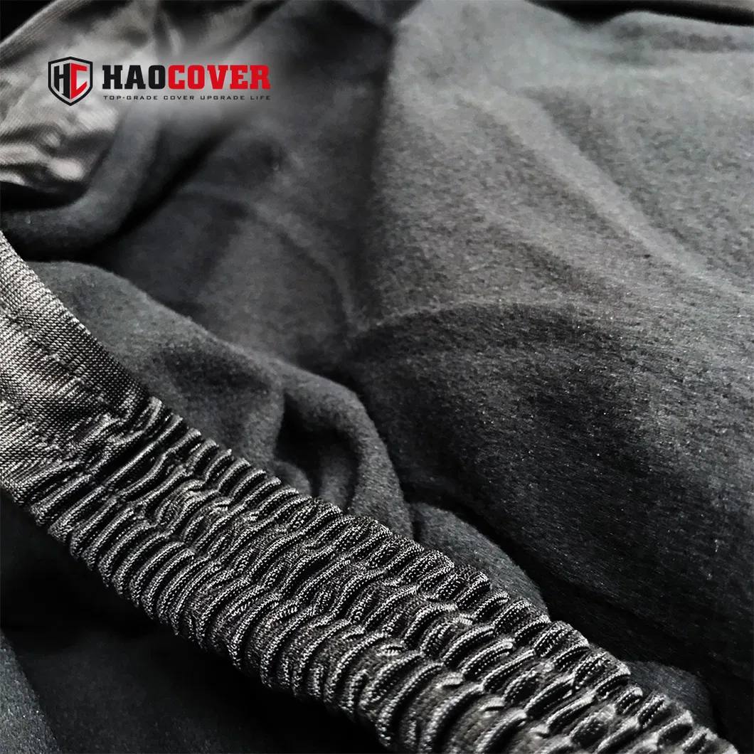 Indoor Car Cover View 3